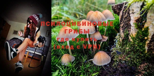 PSILOCYBIN Верхний Тагил